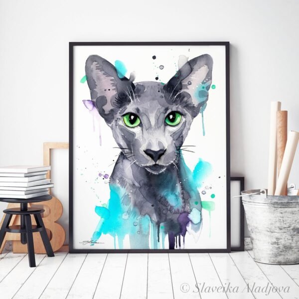 Oriental Shorthair cat
