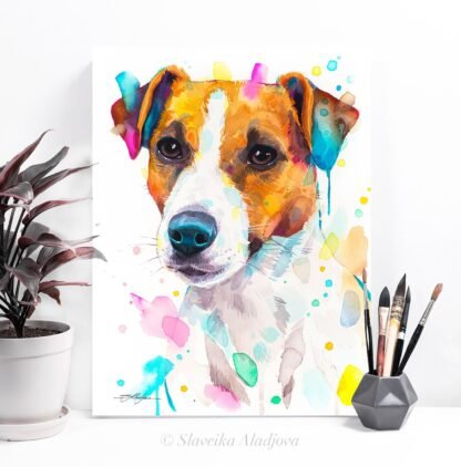 Jack Russell Terrier dog
