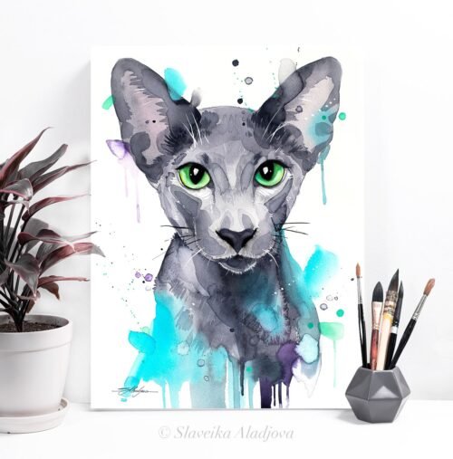 Oriental Shorthair cat