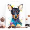 Pinscher