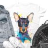 Pinscher