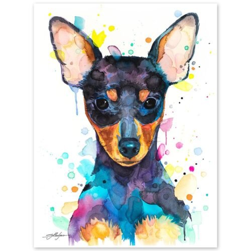 Pinscher
