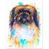 Pekingese, Dog watercolor painting print by Slaveika Aladjova