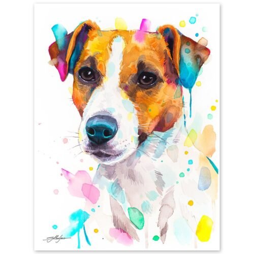 Jack Russell Terrier dog