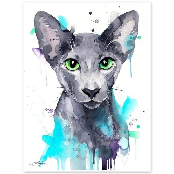 Oriental Shorthair cat