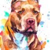 Pit Bull