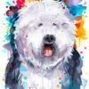 Old English Sheepdog