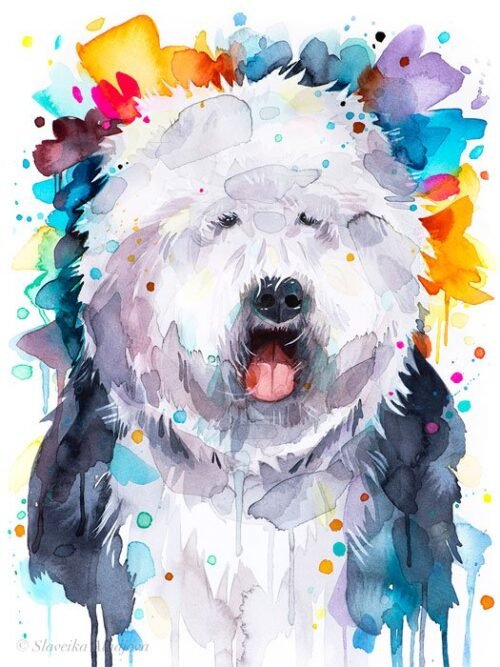 Old English Sheepdog