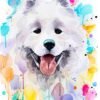 Samoyed