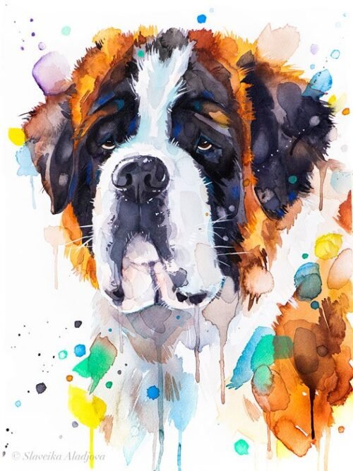 Saint Bernard