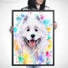 Samoyed