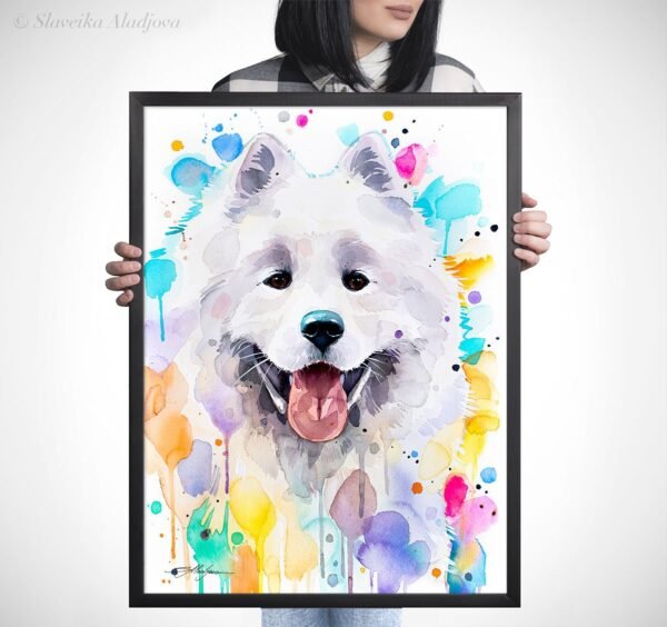 Samoyed
