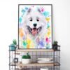 Samoyed