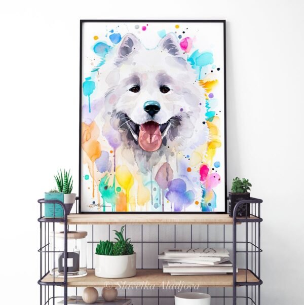 Samoyed