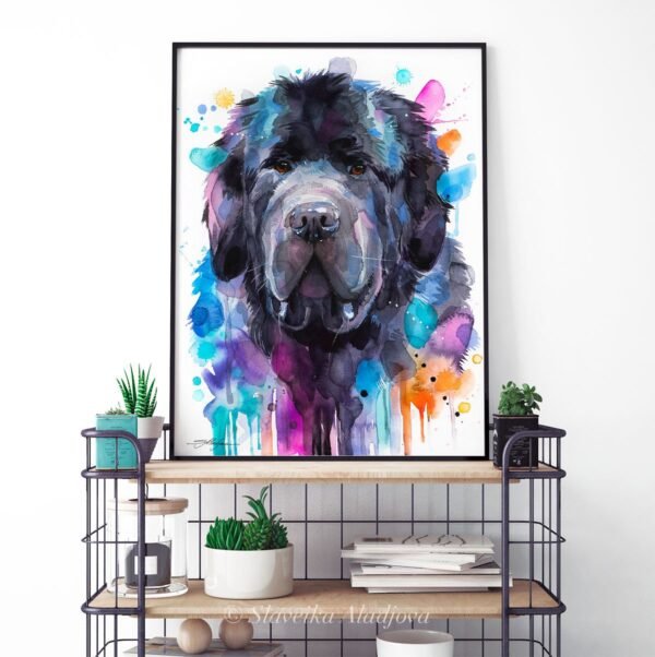 Newfoundland