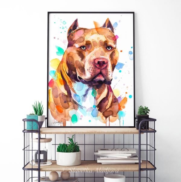 Pit Bull