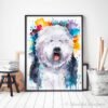 Old English Sheepdog