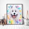 Samoyed