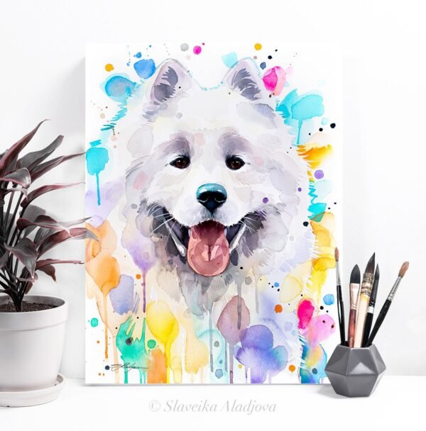 Samoyed