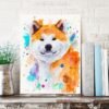 Akita Inu