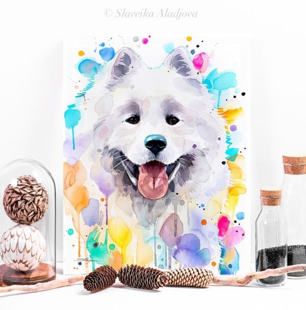 Samoyed