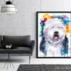 Old English Sheepdog