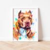 Pit Bull