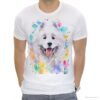 Samoyed