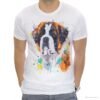 Saint Bernard