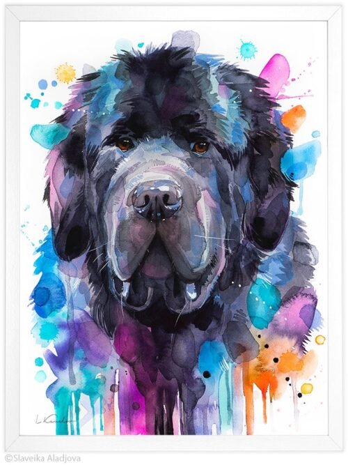 Newfoundland