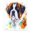 Saint Bernard Saint Bernard