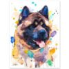 American Akita American Akita