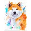 Akita Inu