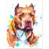 Pit Bull