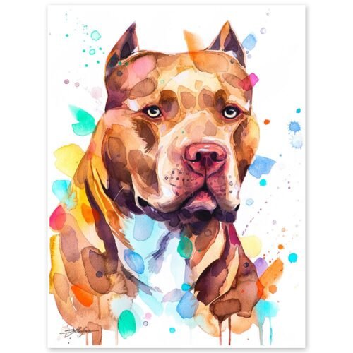 Pit Bull