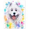Samoyed