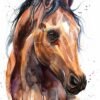 Horse watercolor portrait painting