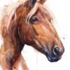 Horse watercolor portrait painting