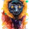 Red ruffed lemur