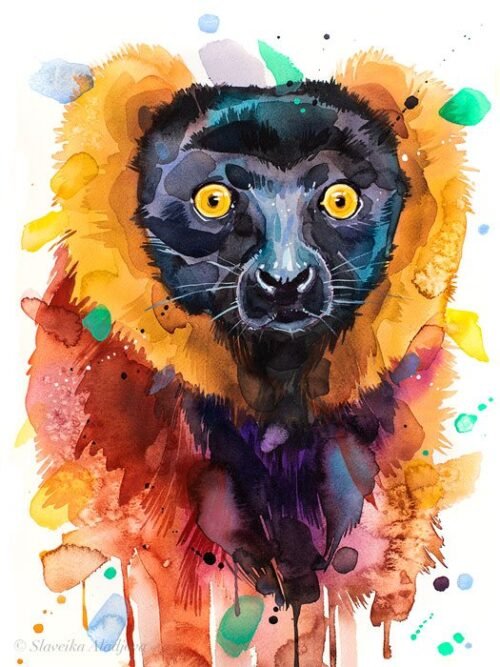 Red ruffed lemur